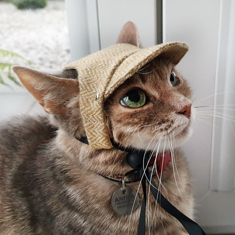Tweed-style hat for a cat with a small brim  shown on a grey textured