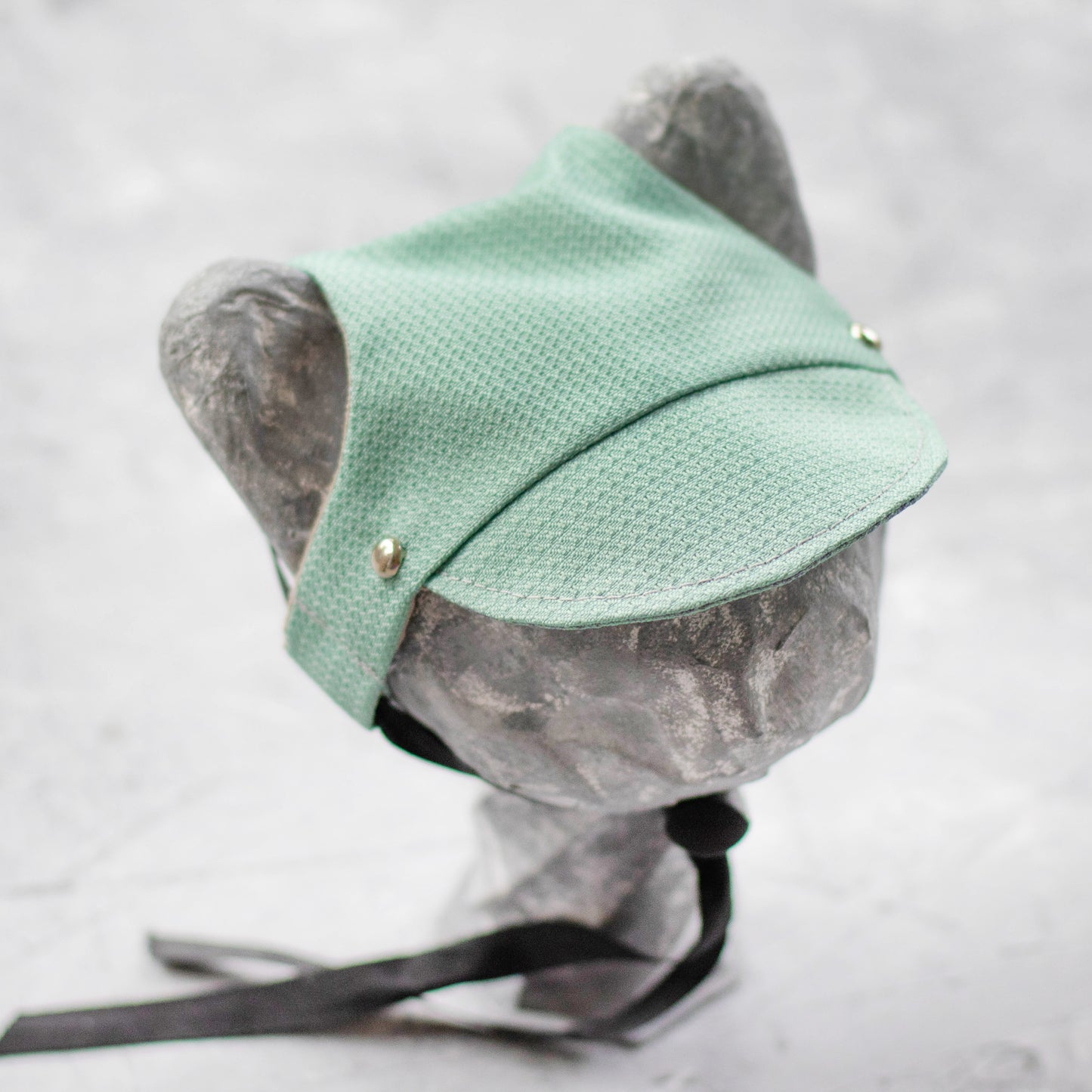 Azure hat for cat