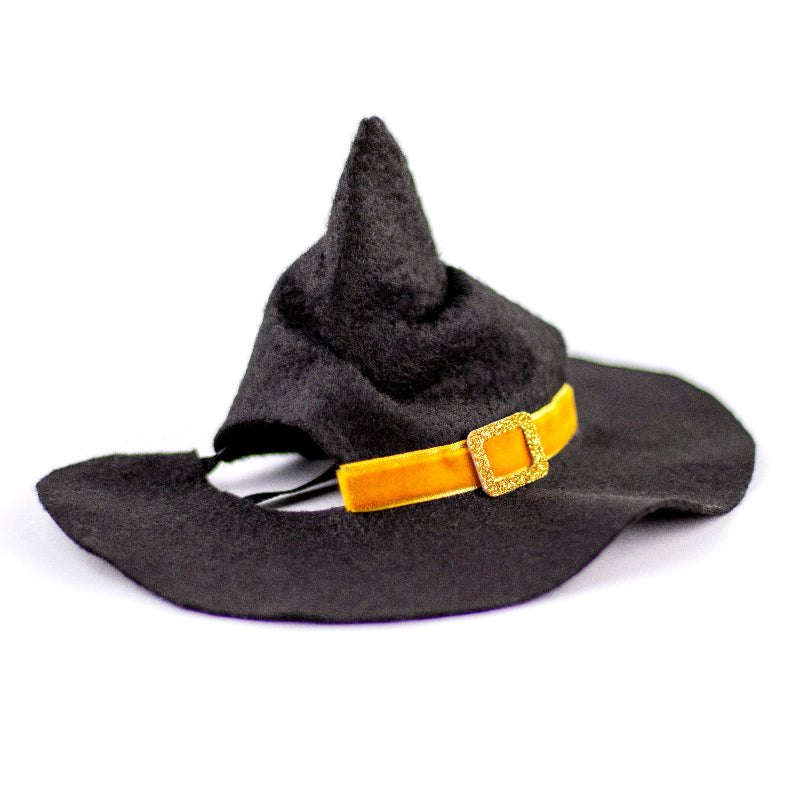 Black witch hat with orange trim and gold buckle for cats and small dogs, Halloween pet costume