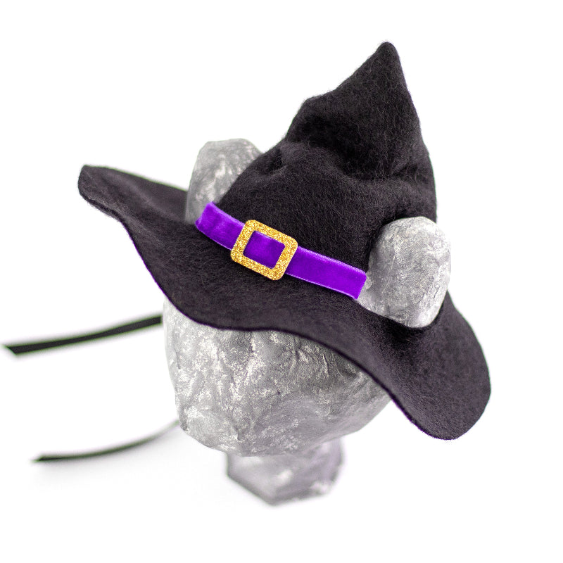 Black witch hat with purple trim and gold buckle for cats and small dogs, Halloween pet costume
