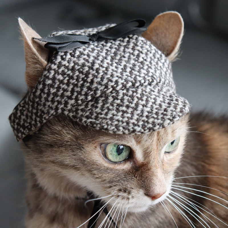 Tweed-style hat for a cat with a small brim and a black ribbon tied in a bow on top, shown on a grey textured surface.