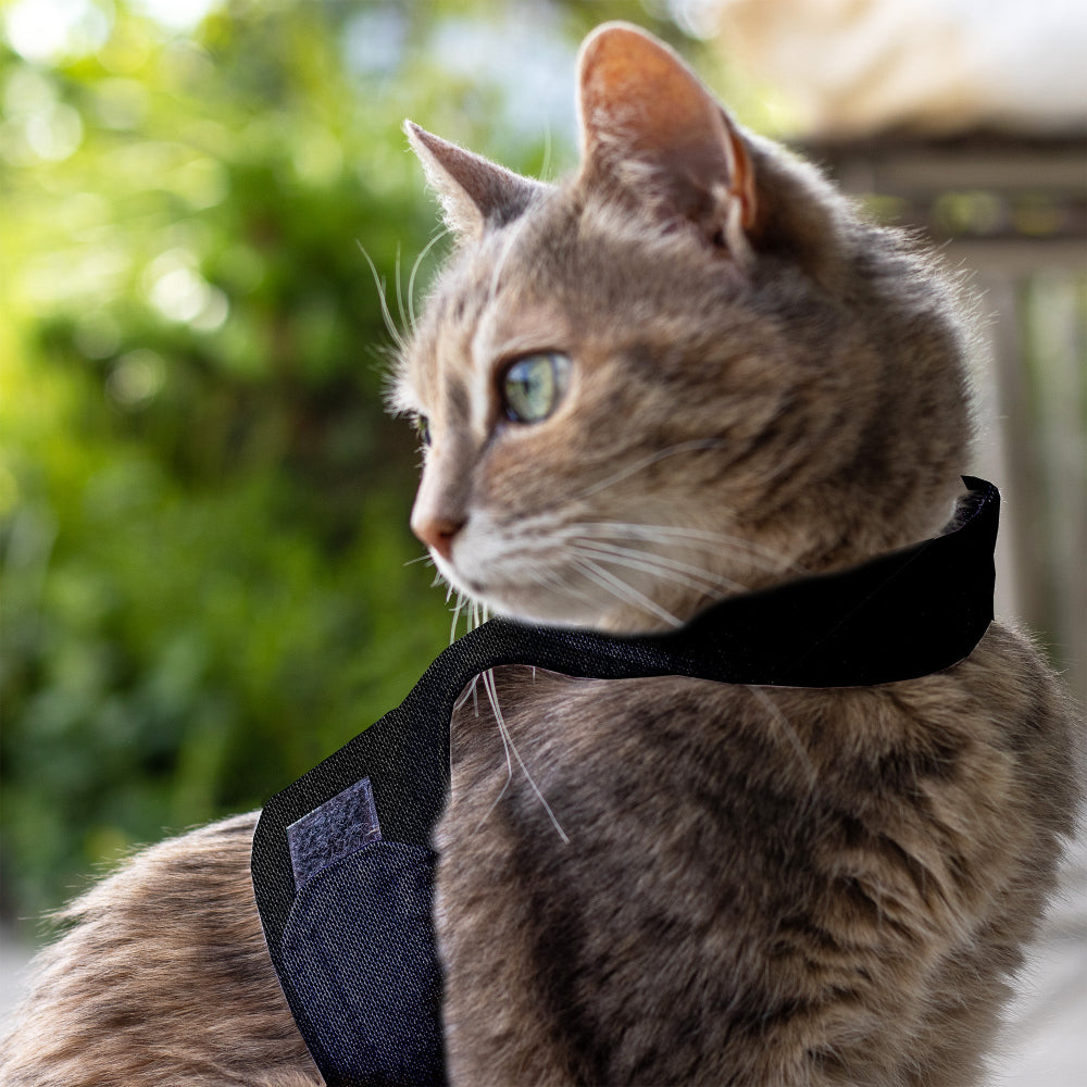 Escape proof cat harness with adjustable velcro straps and leash D-ring, safety harness for cats