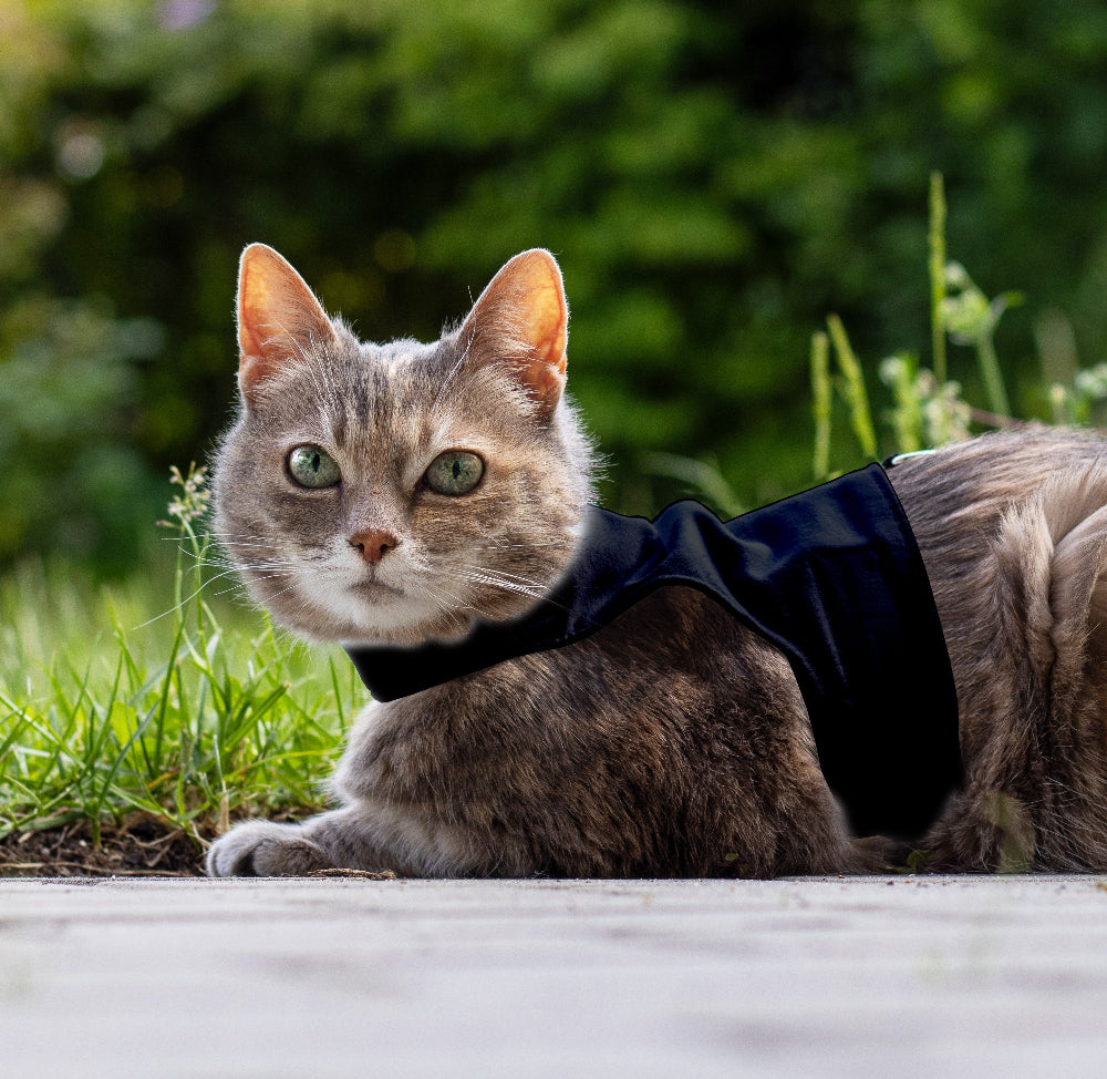 Escape proof cat harness with adjustable velcro straps and leash D-ring, safety harness for cats