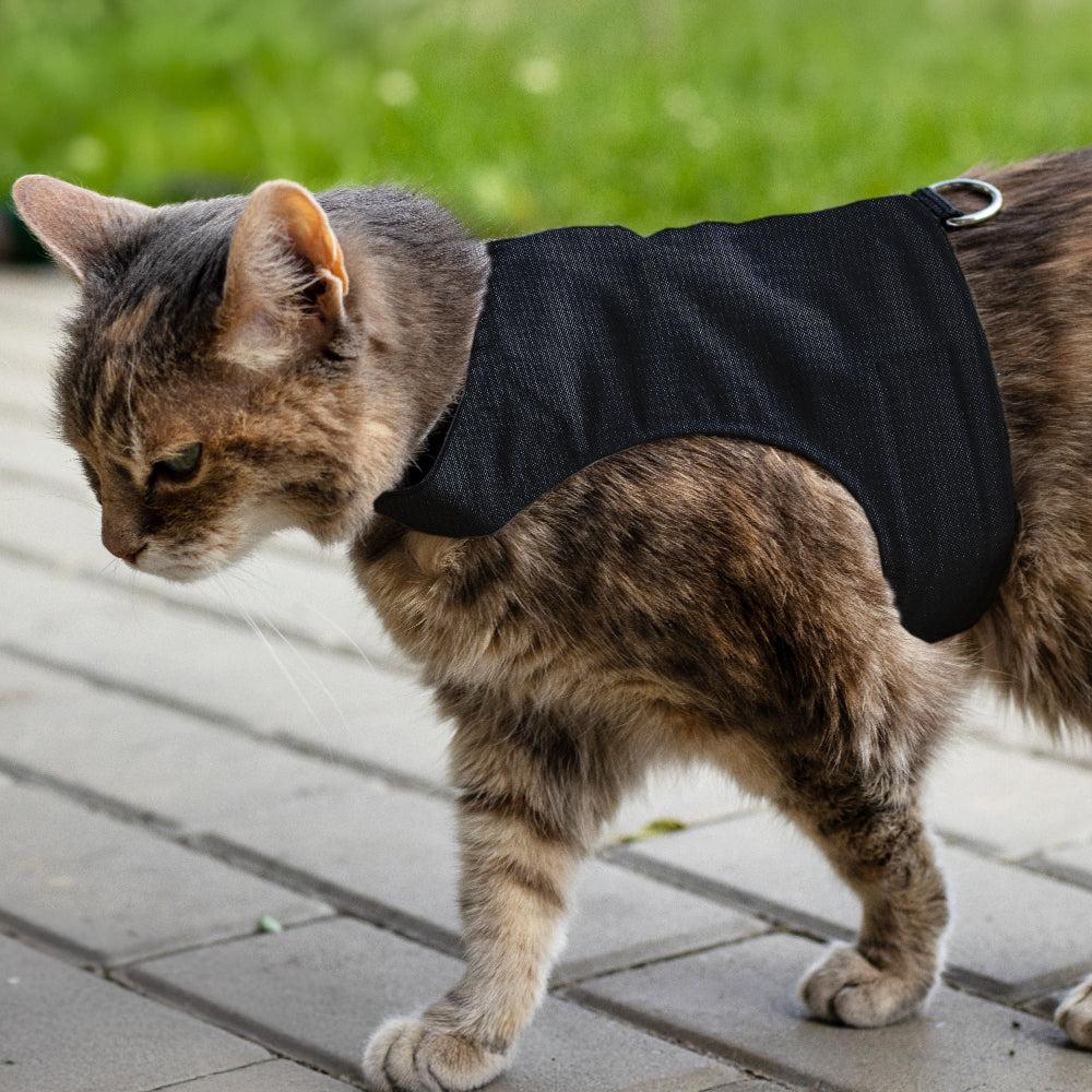 Escape proof cat harness with adjustable velcro straps and leash D-ring, safety harness for cats