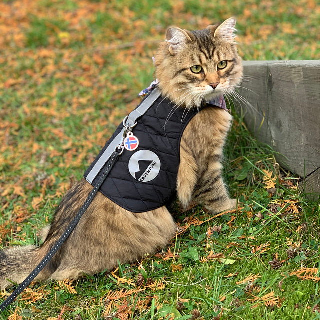 A quilted black cat harness with reflective silver stripes, circular reflective elements