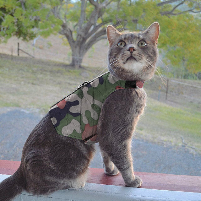 A quilted camo cat harness with reflective silver stripe