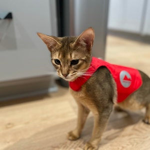 A quilted red cat harness with reflective silver stripes, circular reflective elements