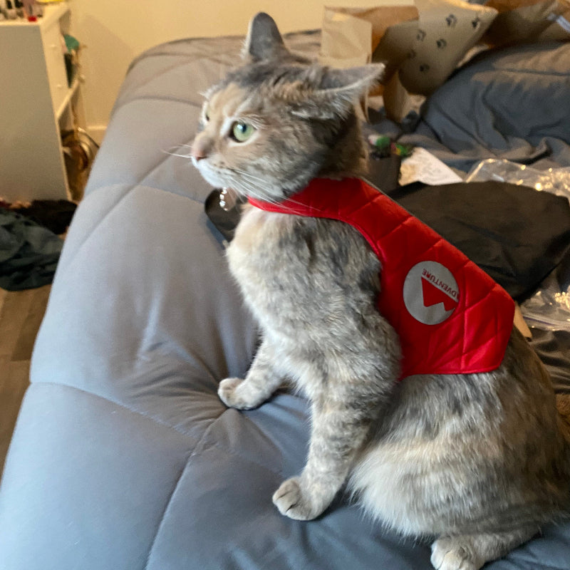 A quilted red cat harness with reflective silver stripes, circular reflective elements