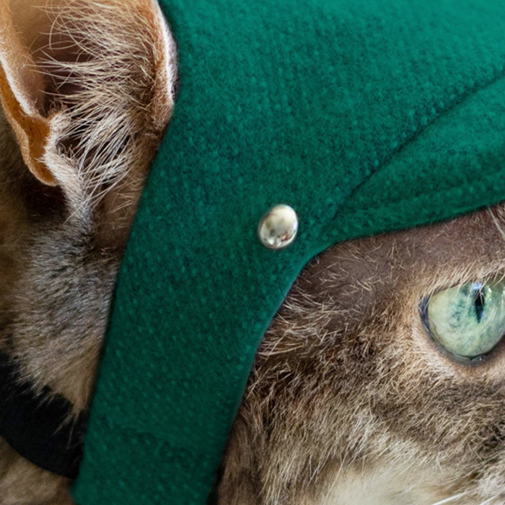 Close-up of a cat wearing a green cap with a button, focusing on the eye.