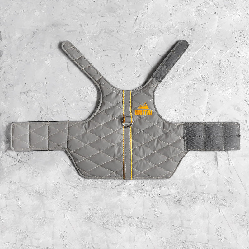 A quilted light grey cat harness with yellow trim, a reflective stripe, personalized yellow "DMITRI" text with a mountain icon