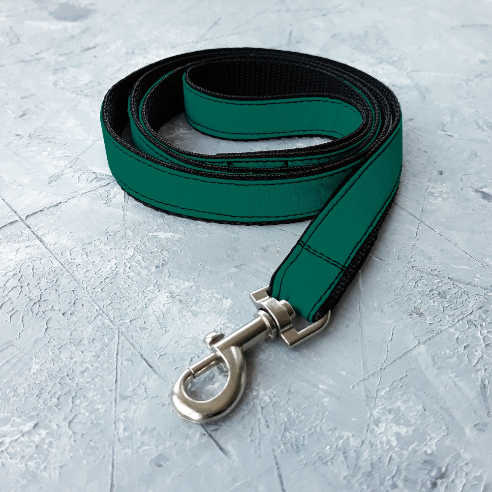 Green dog leash with a silver clasp on a light gray surface