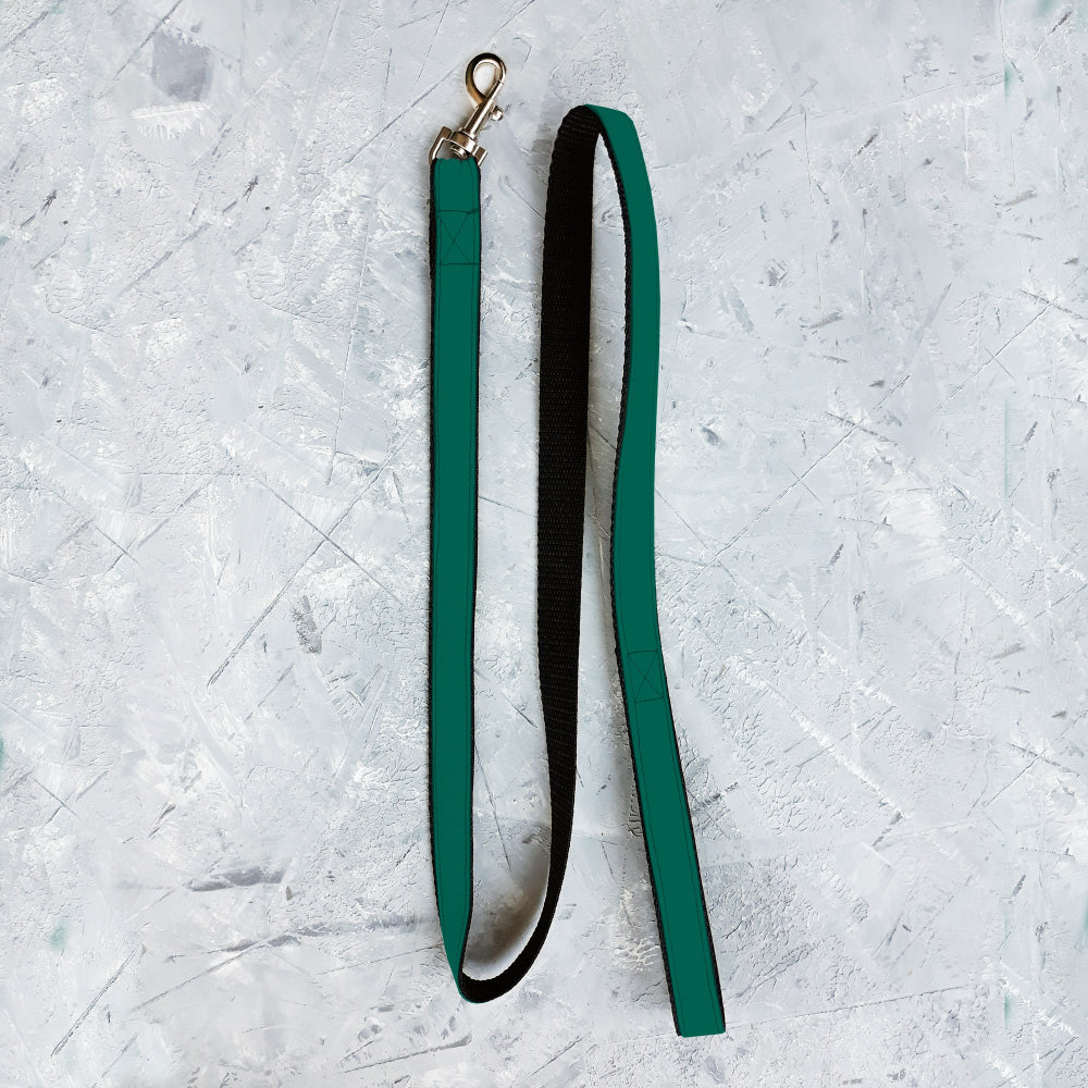 Green and black dog leash on a textured gray background