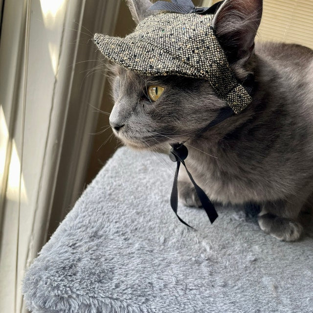 Tweed-style hat for a cat with a small brim and a black ribbon tied in a bow on top, shown on a grey textured surface.