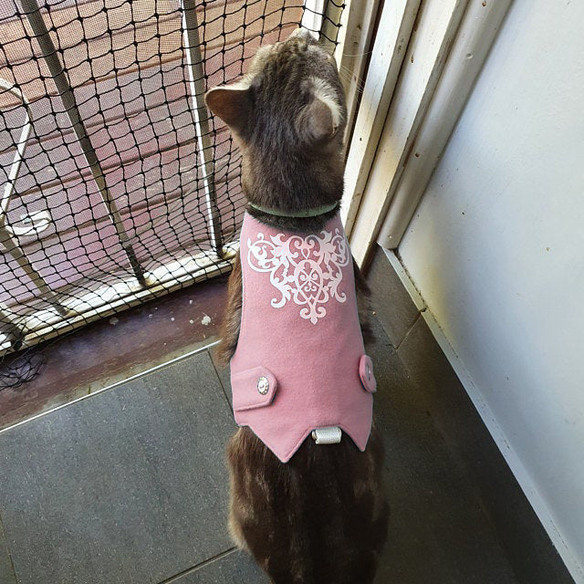 A tabby cat with dark stripes wearing a pink tweed harness with white embroidery is standing indoors near a window