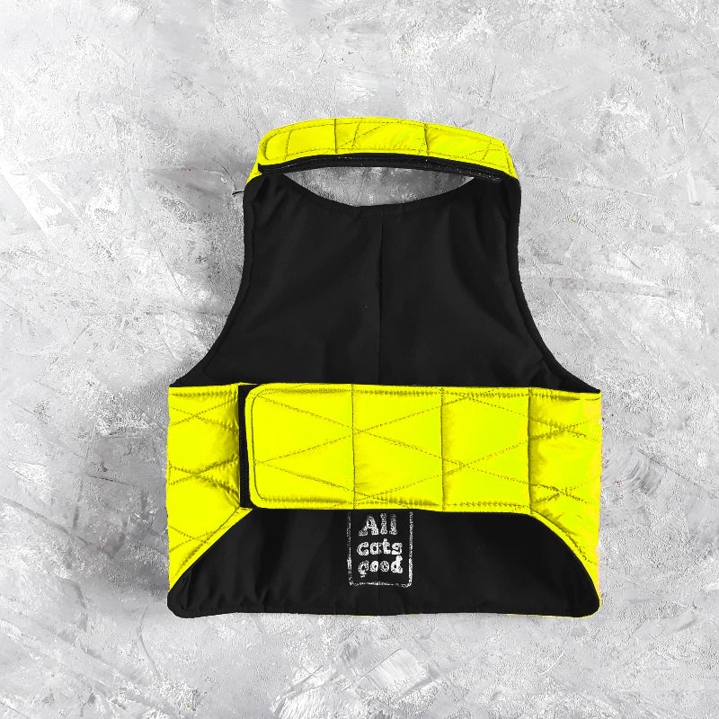A quilted yellow cat harness with reflective silver stripes, circular reflective elements