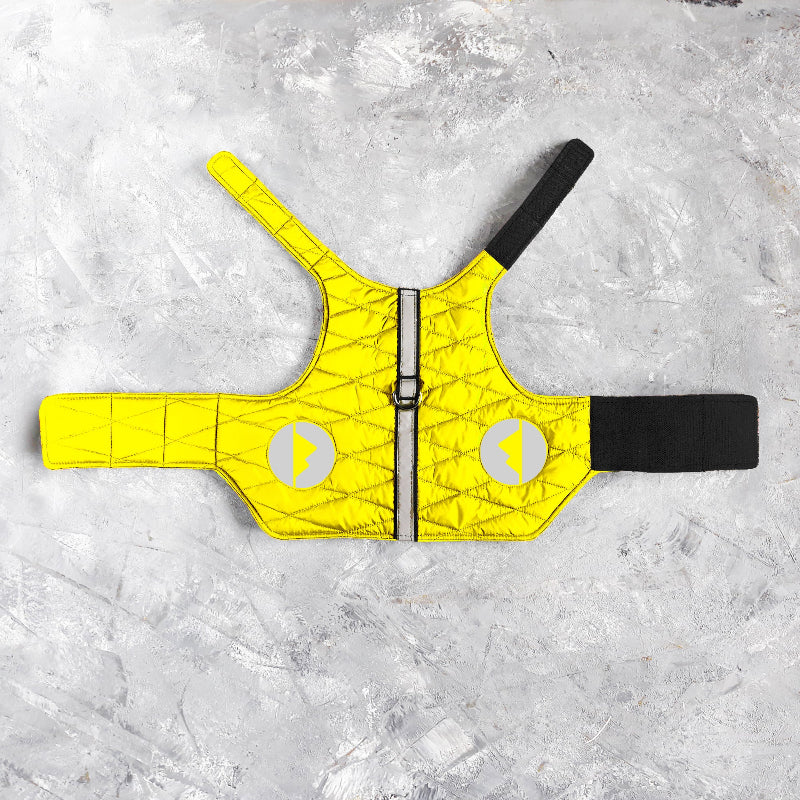 A quilted yellow cat harness with reflective silver stripes, circular reflective elements