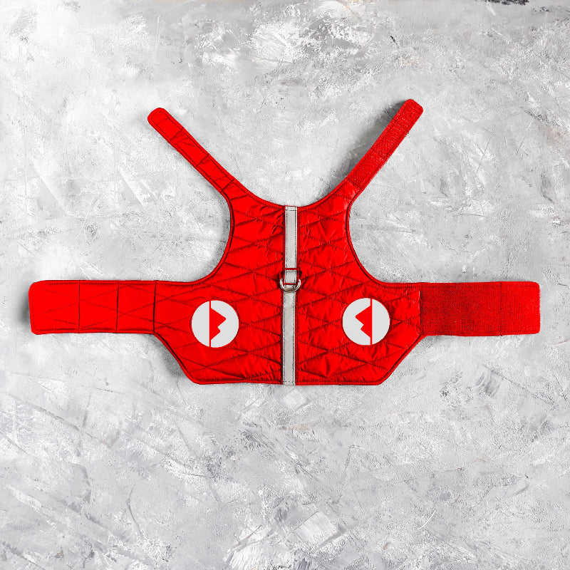 A quilted red cat harness with reflective silver stripes, circular reflective elements