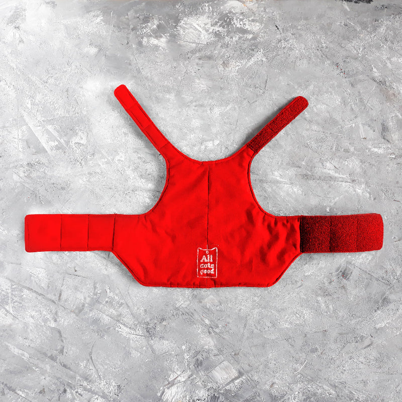 A quilted red cat harness with reflective silver stripes, circular reflective elements