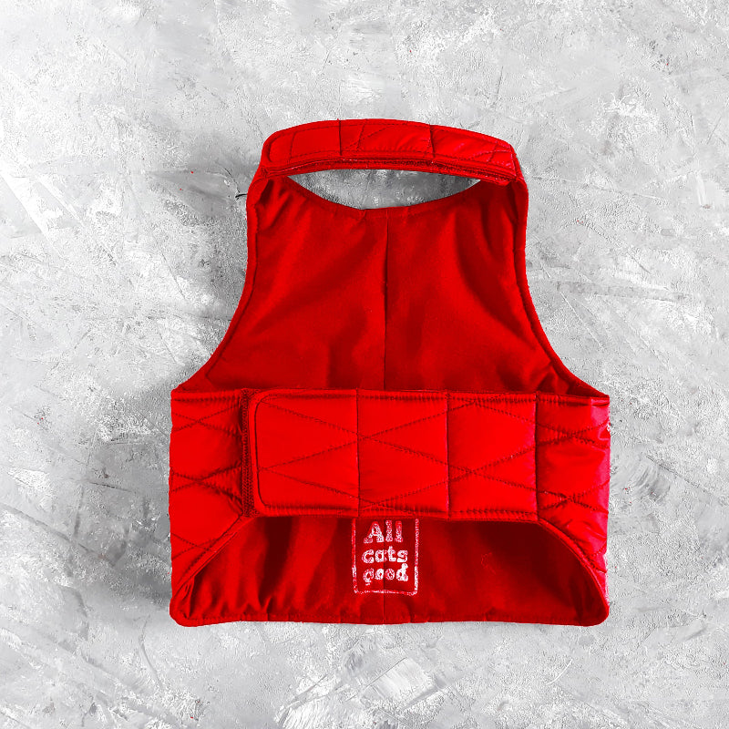 A quilted red cat harness with reflective silver stripes, circular reflective elements