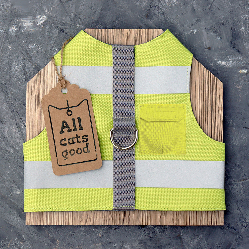 A ngreen water-repellent cat harness with horizontal reflective silver stripes, a grey vertical strap, a silver D-ring, a small pocket, and an Allcatsgood tag.