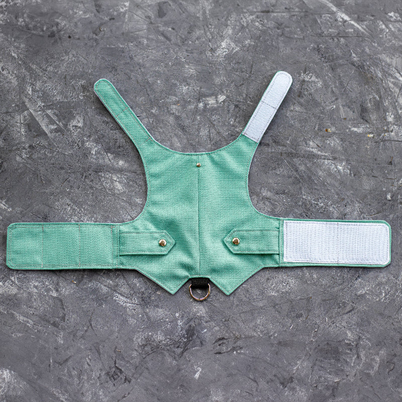 Azure textured cat harness with a vest-like design, featuring two small flaps with silver button accents and a black leash attachment loop with a silver D-ring.