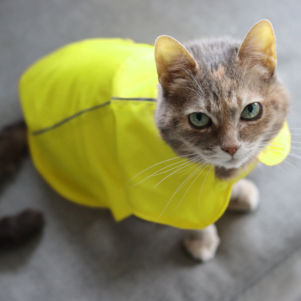 A tabby cat with green eyes wearing a bright yellow raincoat with reflective stripes is sitting on a grey surface indoors in Kraków.