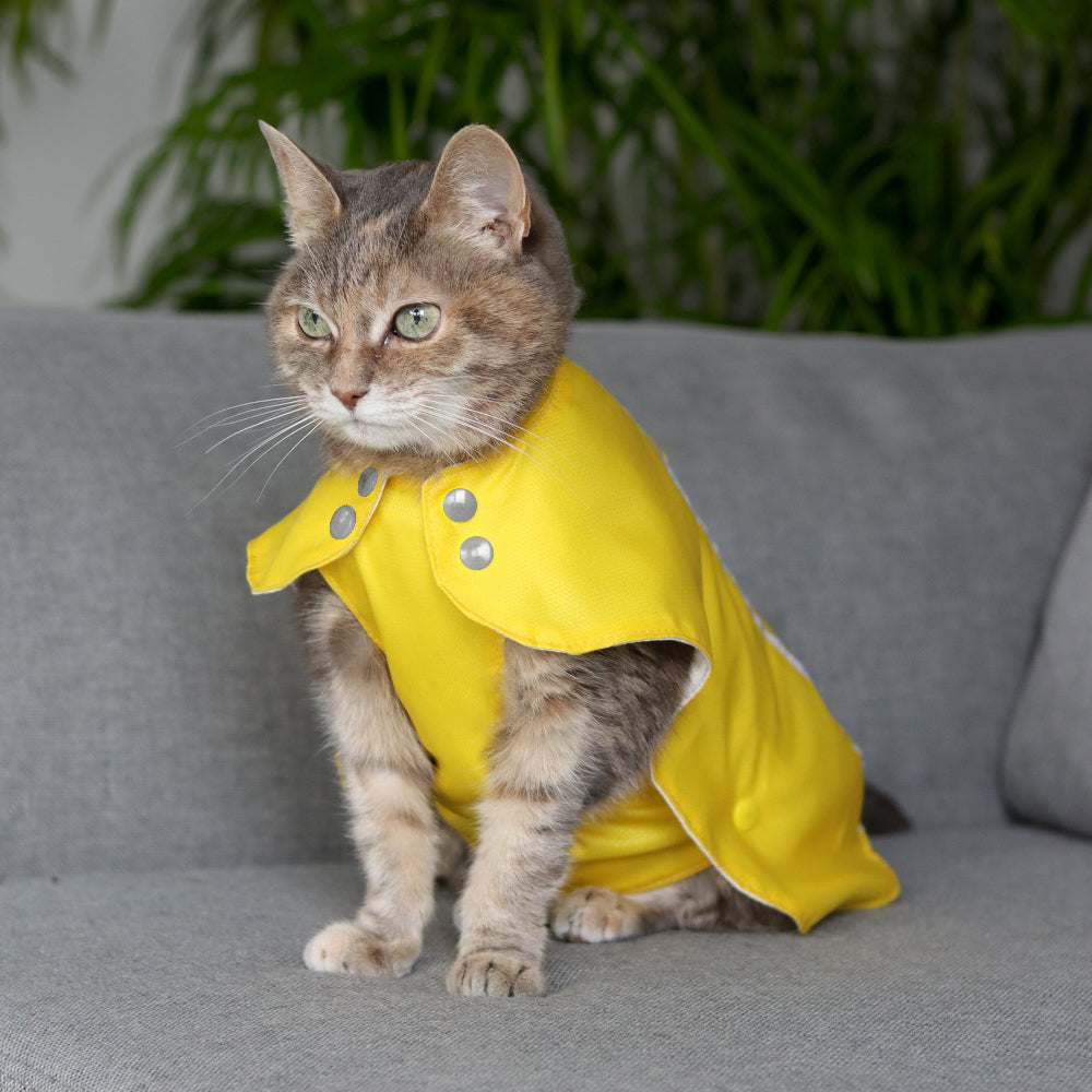 Tabby cat in a yellow water-resistant coat with grey snap fasteners, looking to the side while sitting on a grey couch indoors in Kraków.