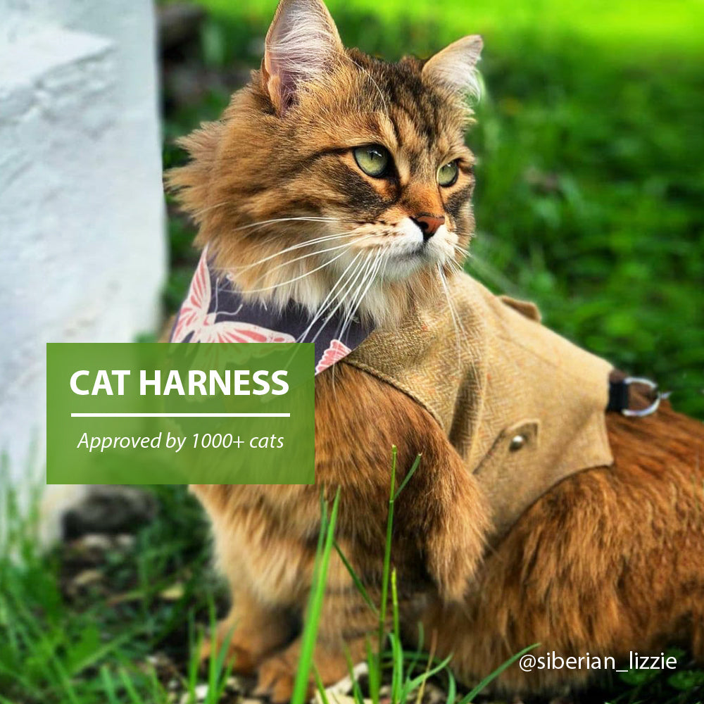 A fluffy brown and black Siberian cat with green eyes wearing a yellow herringbone tweed harness with a light beige leather mountain patch is sitting on green grass outdoors
