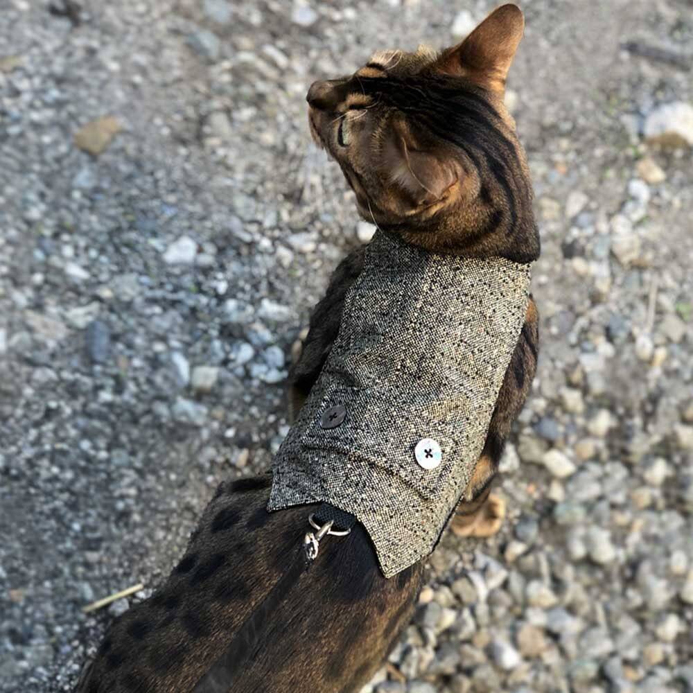 Difficult to escape elegant tweed cat harness with pearl buttons