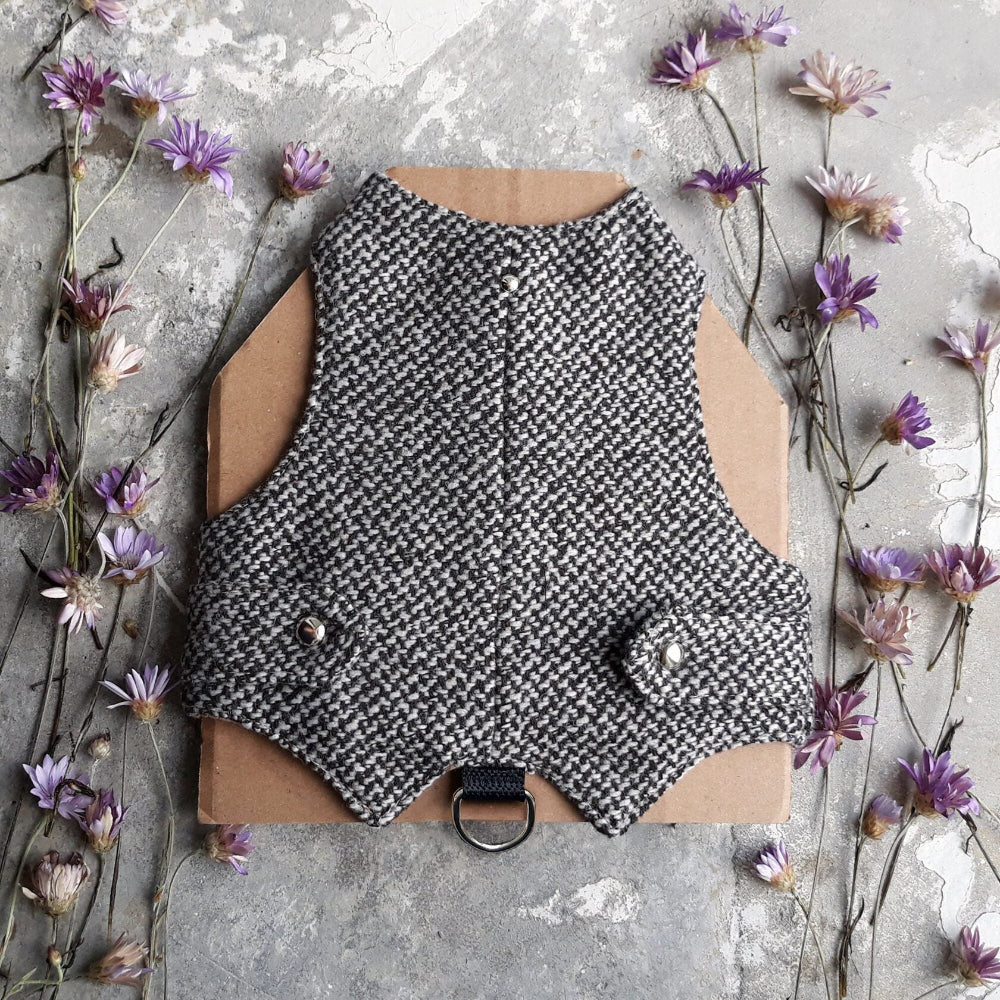 A black and white houndstooth cat harness with silver decorative buttons and a black D-ring, surrounded by dried purple flowers on a grey surface.