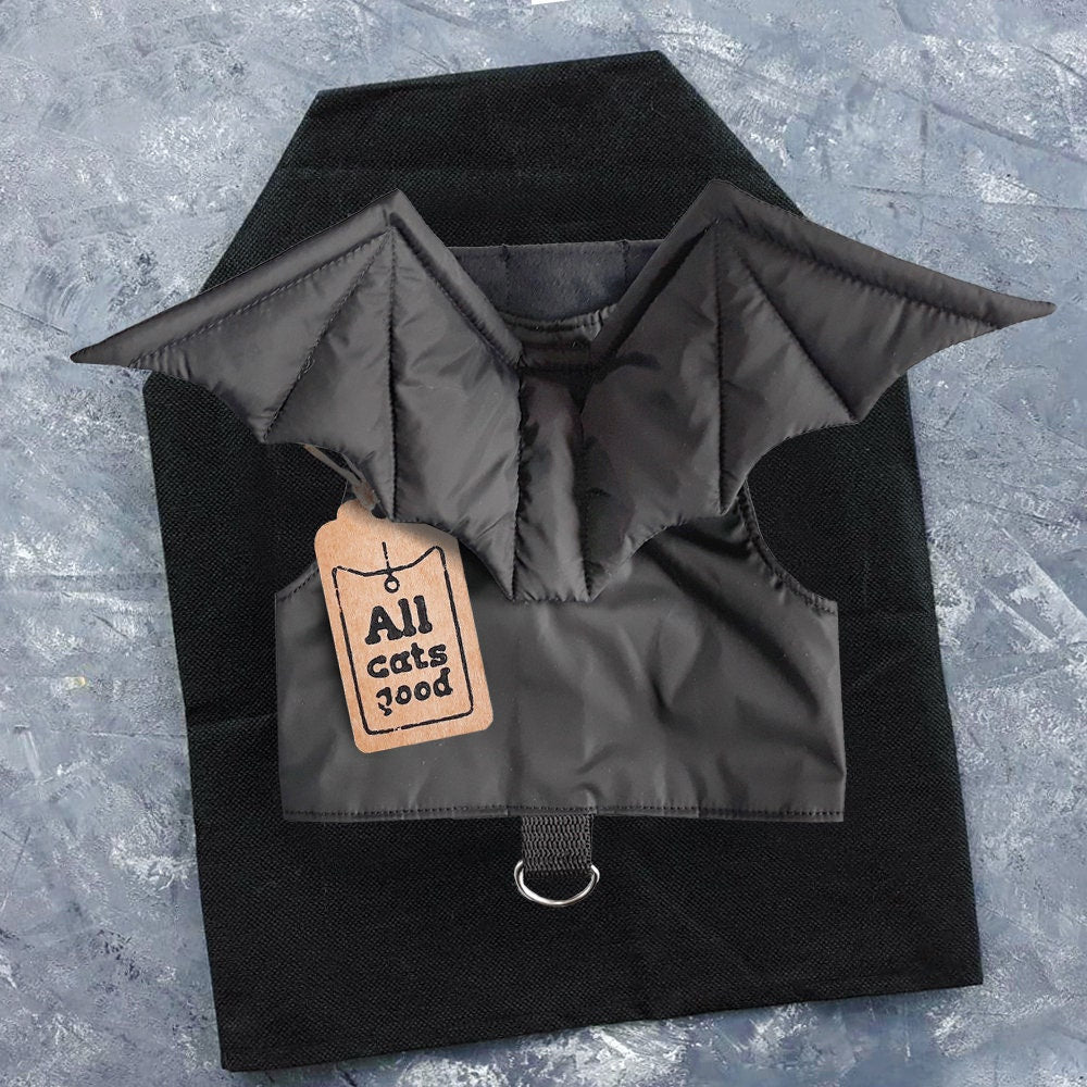 A black cat harness featuring attached bat wings.