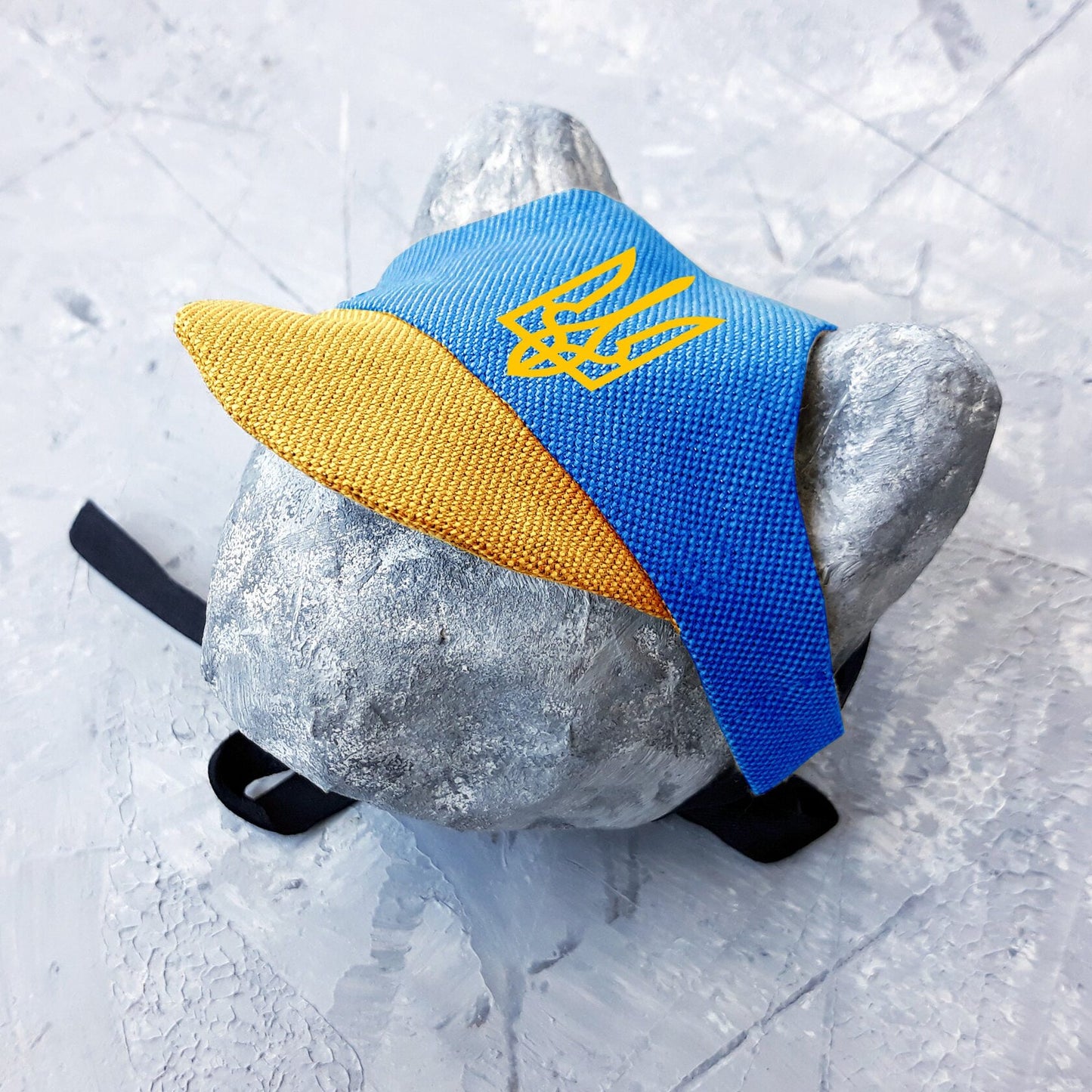 Coat of arms of Ukraine hat for cat