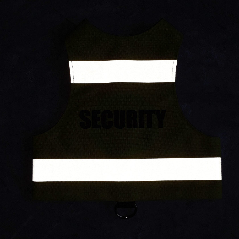 A dark image showing a bright green cat safety harness with the word "SECURITY" visible in black and two illuminated horizontal reflective silver stripes.