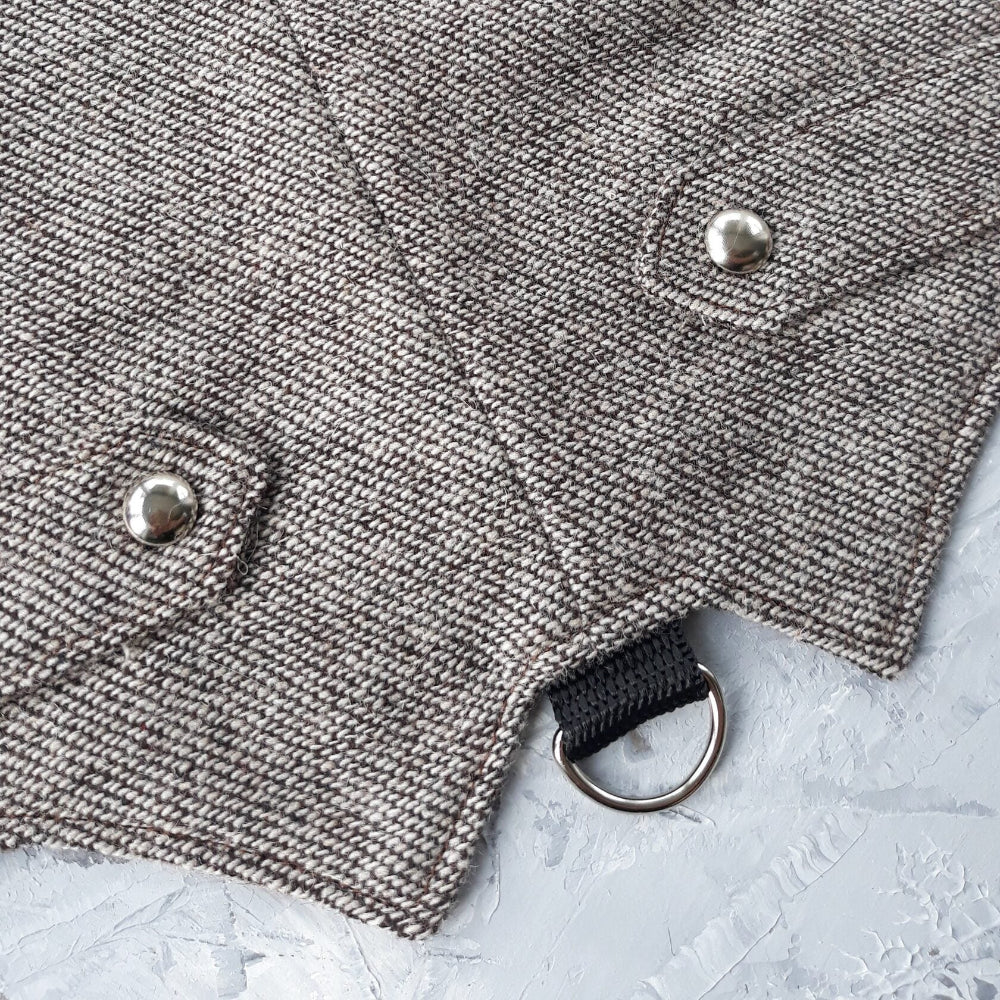 Close-up of a silver metal D-ring and silver decorative buttons on a light brown tweed cat harness.