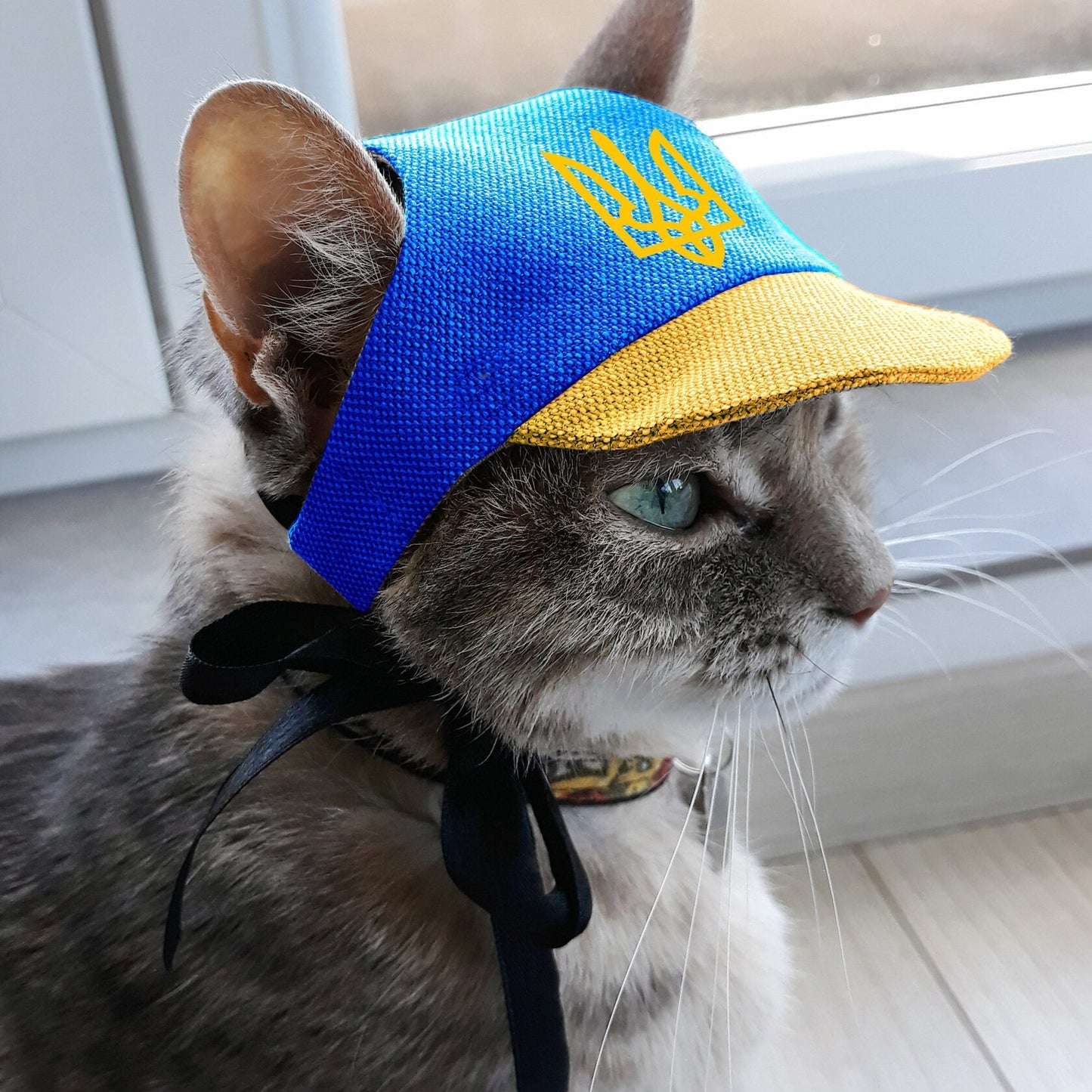 Coat of arms of Ukraine hat for cat