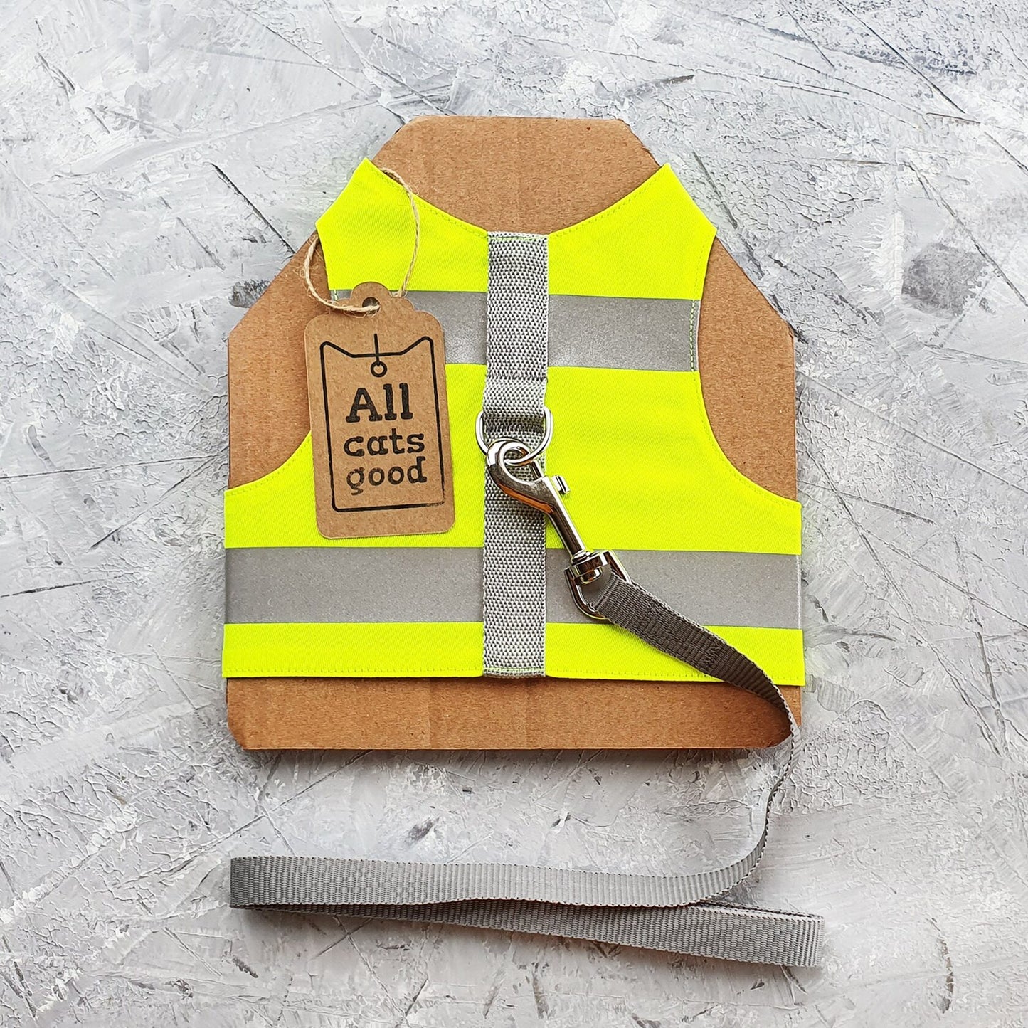 The All Cats Good leash training kit containing a high-visibility cat harness, a grey leash, and an instructional booklet.