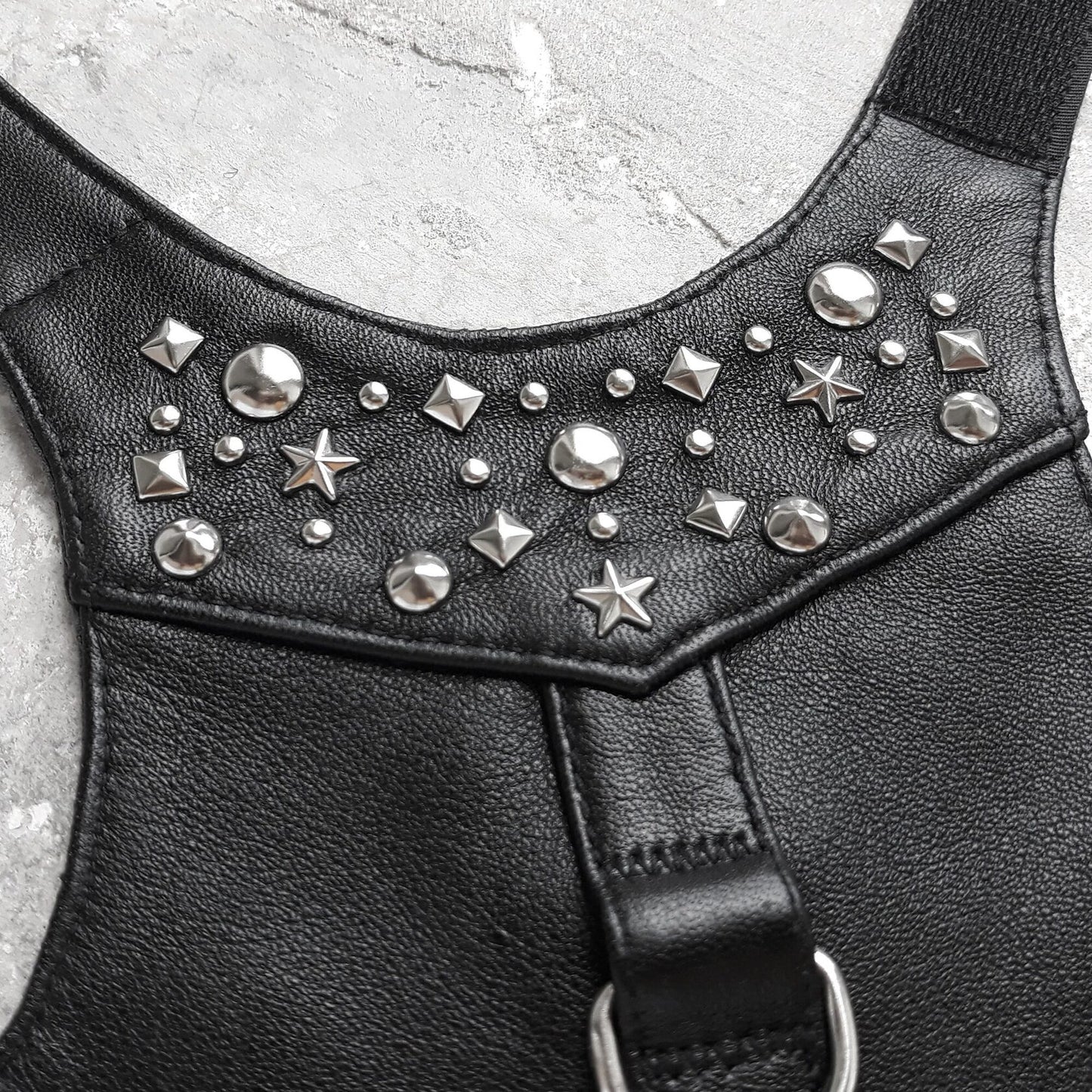Close-up Stylish black leather harness vest for cats with metallic rivets for adventure cats