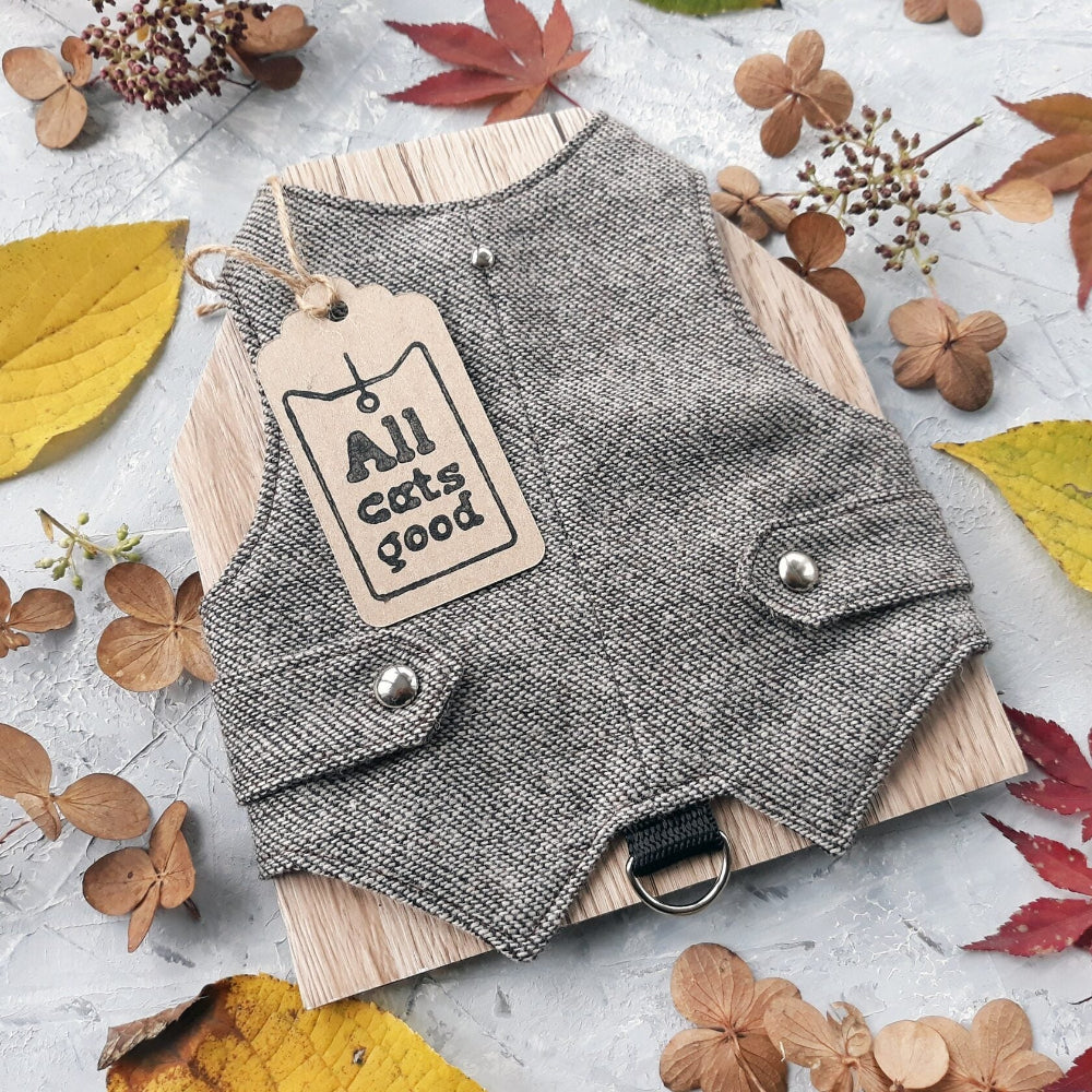 A light brown tweed cat harness with silver decorative buttons and a black D-ring, surrounded by autumn leaves and an Allcatsgood tag.