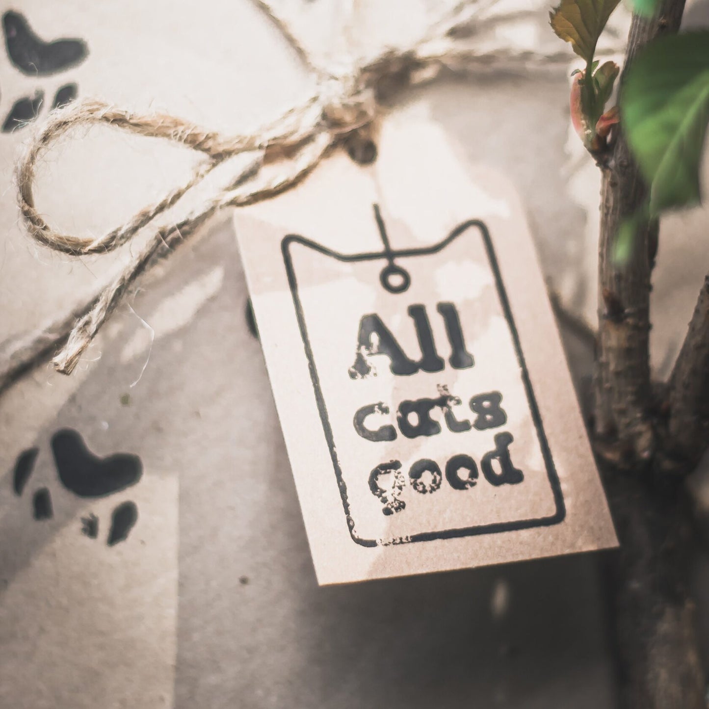 Close-up of a brown cardboard tag with the text "Allcatsgood" tied with twine.