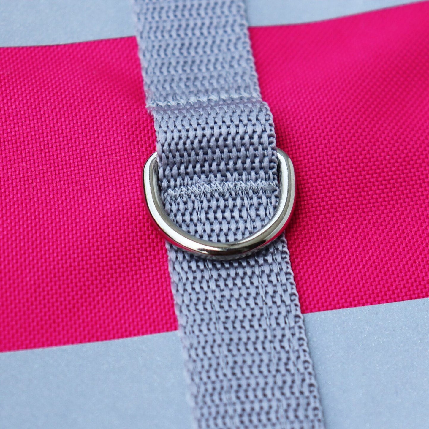 Close-up of the metal D-ring on a high-visibility cat harness.