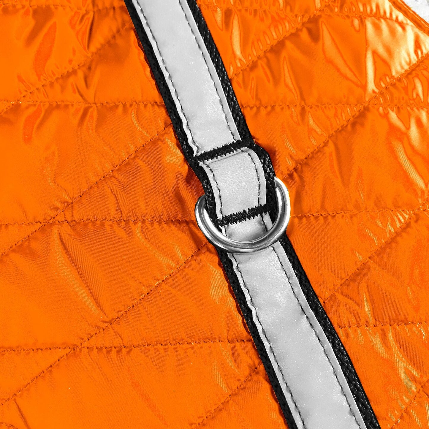 Close-up of a silver-colored D-ring attached to a reflective silver strap on a quilted orange cat harness.