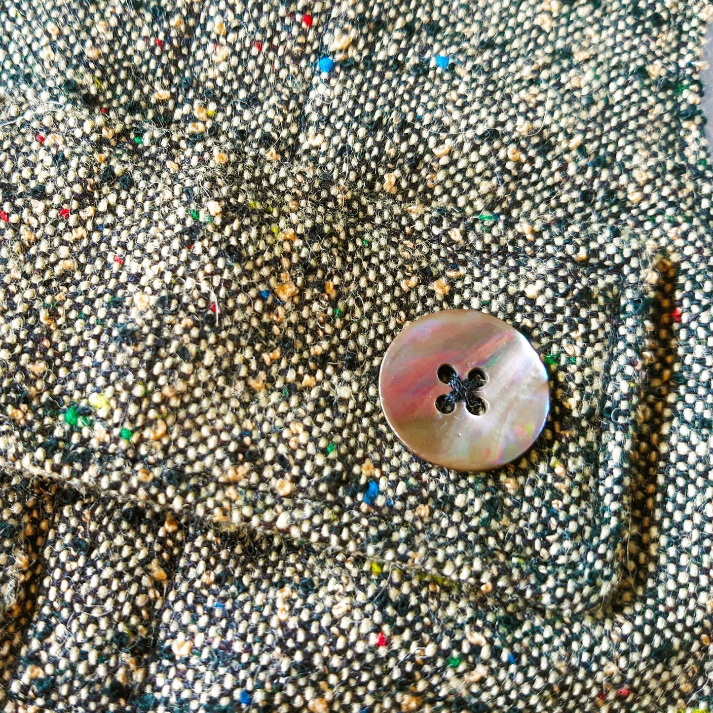 Close-up of a decorative mother-of-pearl button with a dark center on a grey tweed cat harness with colorful flecks.