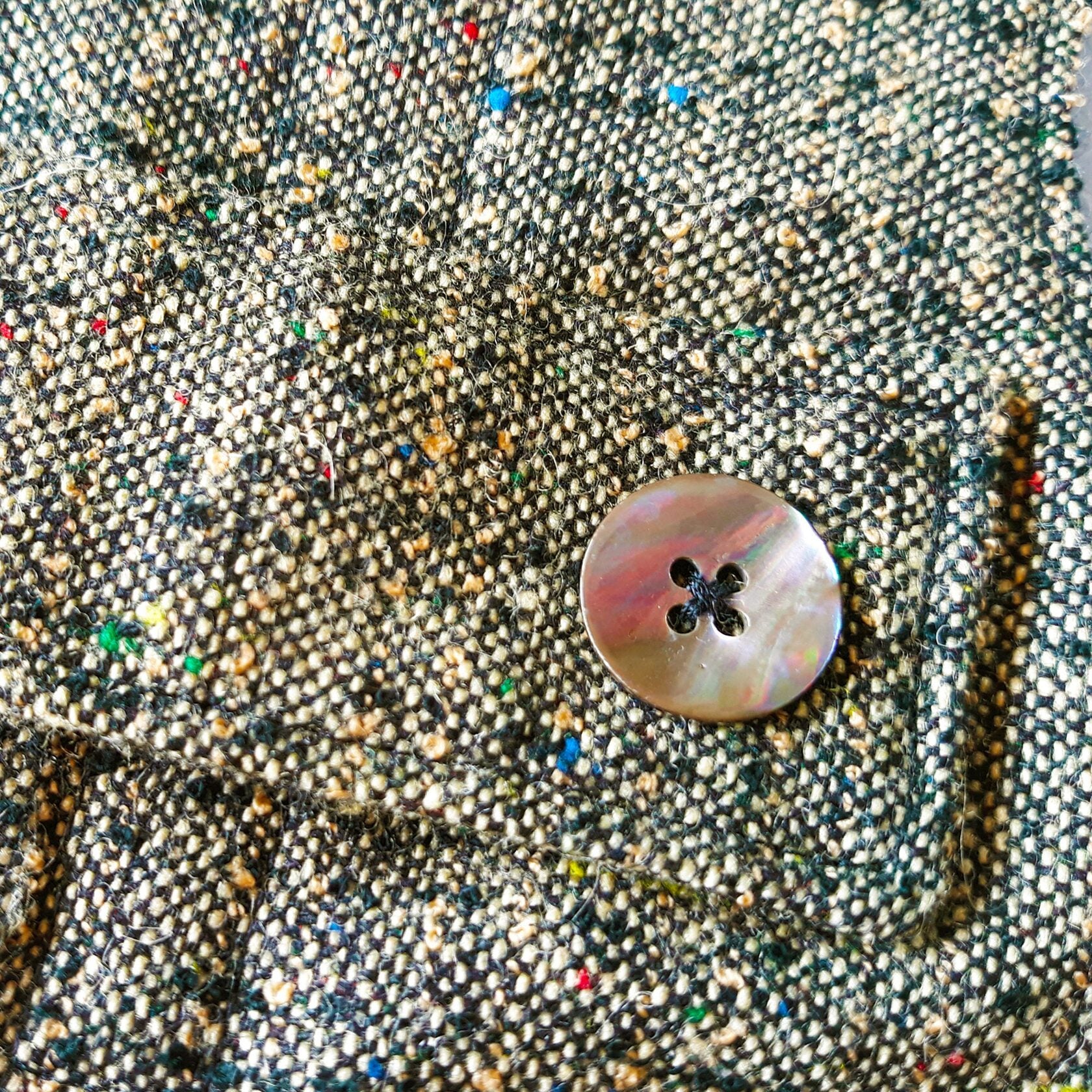 Close-up of a decorative mother-of-pearl button with a dark center on a grey tweed cat harness with colorful flecks.