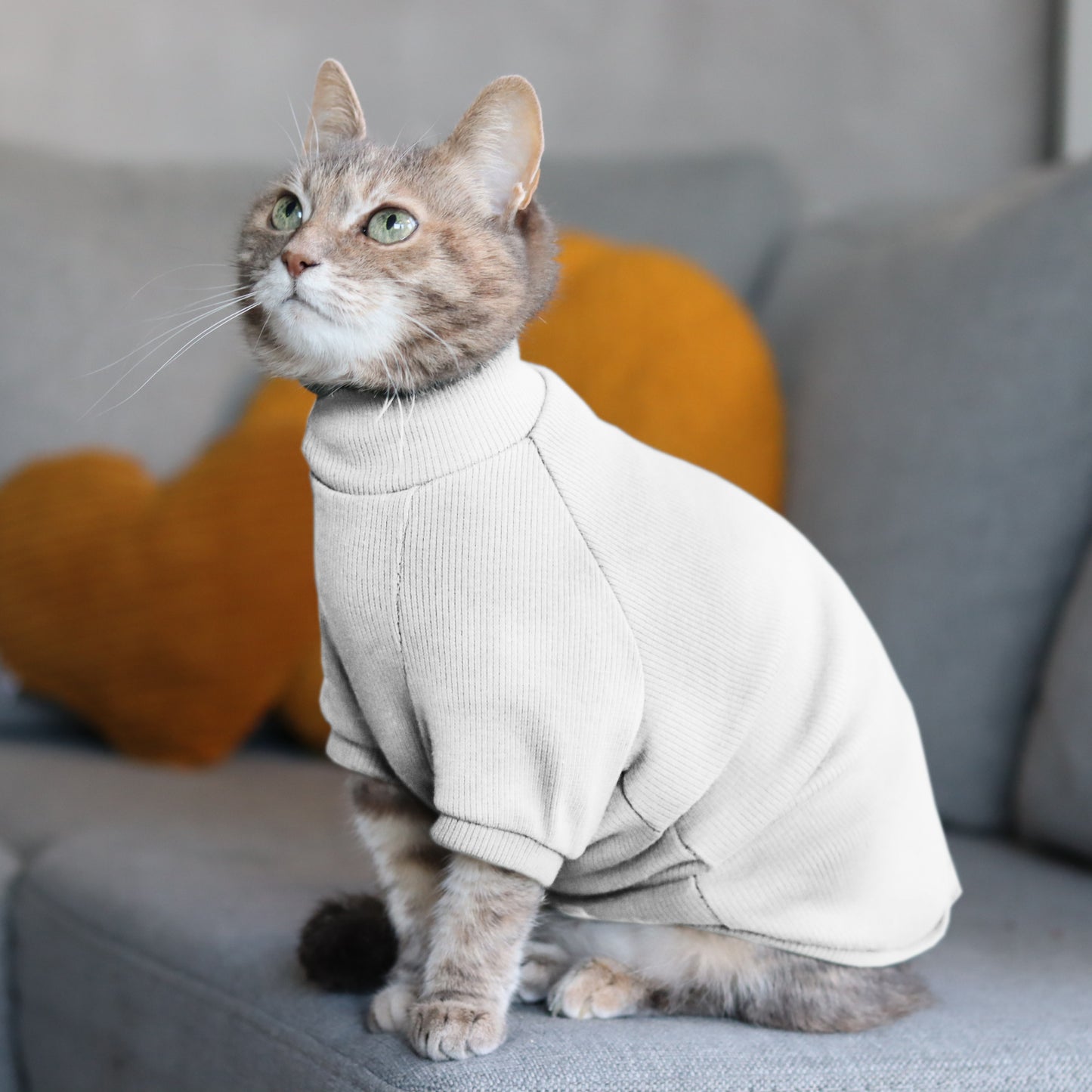 White cotton sweater for Cat. Shirt for Sphynx and all cats breeds