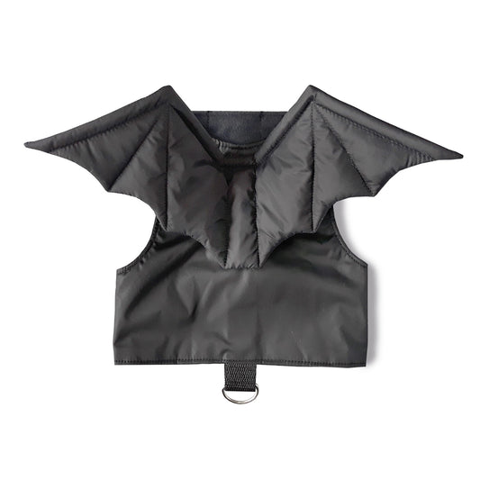 A black cat harness featuring attached bat wings
