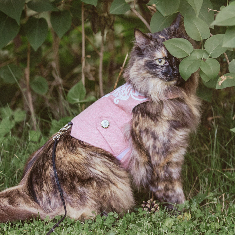 A long-haired tortoiseshell cat wearing a pink tweed harness with white embroidery is sitting on green grass near leafy bushes outdoors