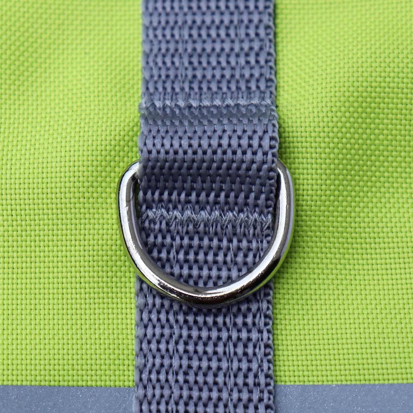 D-ring on a safety cat harness.