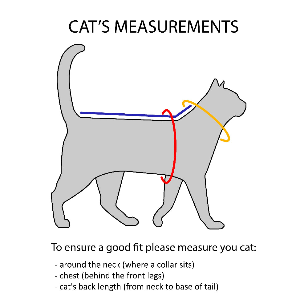 Diagram showing how to measure a cat for a collar fit.