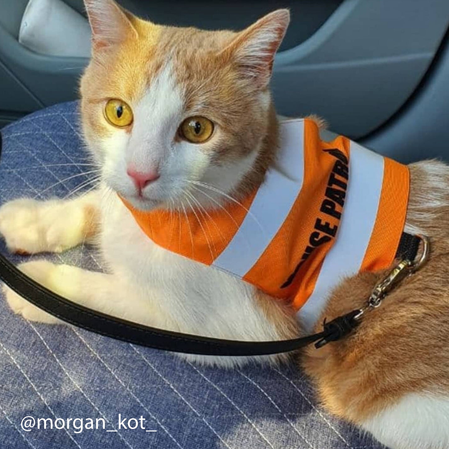 A bright orange safety vest with horizontal reflective white stripes and the text "MOUSE PATROL" in black capital letters. A black loop with a silver D-ring is at the bottom.