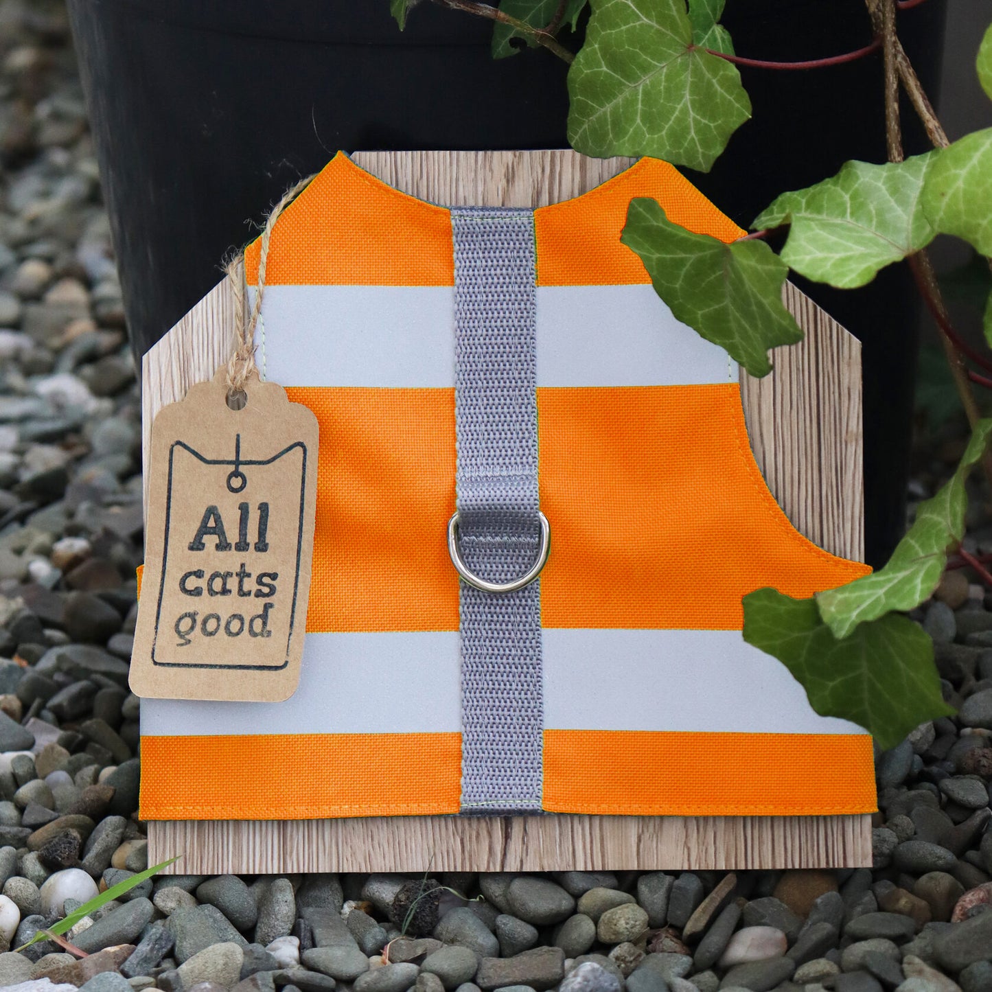 Orange reflective safety cat harness with Allcatsgood tag.